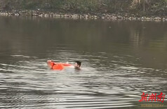 路遇一女生落水，岳阳三位好汉联手救人上岸