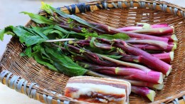 楚国良专栏 | 九华红菜薹赋