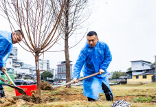 栽下碧桃万千株，他们携手为城市“美容”