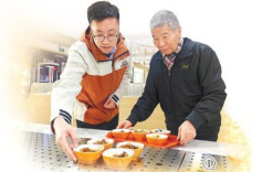 越来越多的90后、00后活跃在养老服务一线｜人民日报