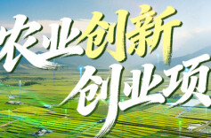 湖南省“三农”创业项目大赛最佳人气奖花落谁家？快来投一票吧