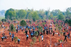 三湘大地添新绿全民尽责护家园