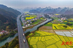 Golden Rural Scenery in Springtime