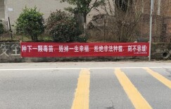 隆回织密“四张网” 筑牢“无毒墙”