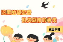 请查收！湖南郁金香赏花地图在此