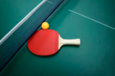 德甲赛季后，樊振东将加盟杜塞尔多夫俱乐部