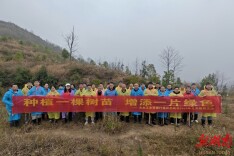 冷水江农商银行开展义务植树活动