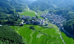 邓天蓝：学习习近平经济思想 推动“十五五”时期农村集体经济高质量发展