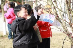 怀化市鹤城区第二幼儿园：春风拂园栽新树 童心执笔护春光