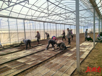 临湘市黄盖镇：“硬核”举措护航春耕生产 筑牢粮食安全防线