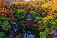 长沙发布丨再说“亿”遍，岳麓山、橘子洲真免费！