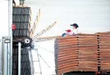 11万亿林草产业诠释“两山”转化