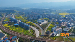 视频 | 飞阅中方：春启泸阳 花绘振兴