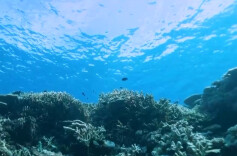 春末夏初或进入厄尔尼诺状态 “最热年”论断为时过早