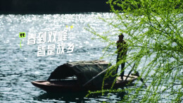 视频|春风一到，双峰便成了诗