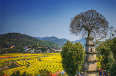 Chating Town Advances Agriculture-tourism Integration