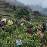 两会精神进乡村丨全国人大代表龙献文：茶旅融合之路越走越宽@湖南日报头版