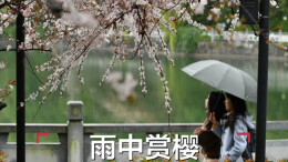 3月17日读报|央视曝光多个“增高骗局”:千万别让这些“长高大法”毁了孩子