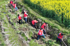 衡山：“渠”心聚力疏农脉 通渠保灌促丰收