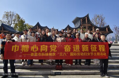 娄底市科技局：巾帼心向党  奋进新征程