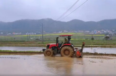 早稻育秧忙 春耕干劲足