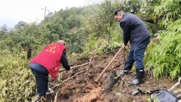 以“党建红”引领“生态绿”绥宁县数据局植树添绿正当时