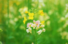 2026“我的寒假”主题征文投稿：寒假付出的汗水让我顿悟和进步