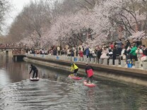 北京十里堡：山桃如雪，春染枝头