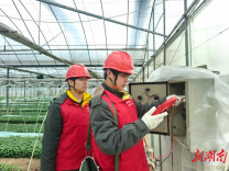 国网涟源市供电公司“电骏马”护航“菜篮子”稳产