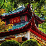 提质焕新 爱晚亭三大池塘进行修复改造