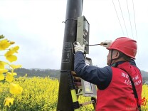 辰溪县供电公司：开展护航春耕春灌线路专项排查行动