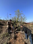 江华水利局干部职工积极参加全县植树节活动