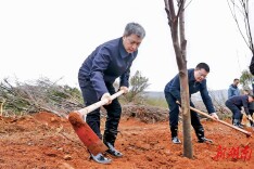 视频|娄底市2026年义务植树活动举行