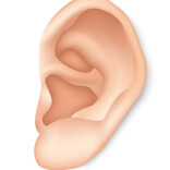 耳垢需定期清理？盘点8大危害耳健康的热门误区