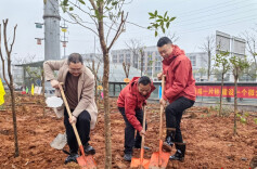 党建引领植新绿 54家社会组织共绘株洲生态画卷