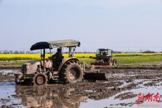 临湘市江南镇：耕耘正当时 沃野绘“丰”景​