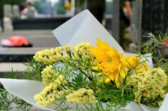 多部门联合印发通知 部署做好清明节祭扫工作