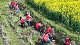 图片新闻 | 衡山：通渠保灌促丰收
