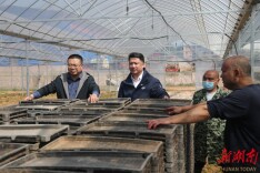 新田：“田专家”委员把履职课堂搬进春耕现场