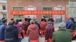 洞口县杨林镇：院落会商发展大计 “金果果”铺振兴之路