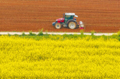 梯田花开满目金 古丈县走出富民兴村新路子@湖南日报