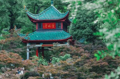 注意！麓山景区最新公告