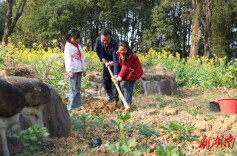教育强省调研行㉖丨灶台变讲台 炊烟伴书香——保靖县劳动教育创新实践纪实