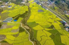 两会精神进乡村丨礼堂里的“田间声音”——全国人大代表宁芬芳宣讲全国两会精神@湖南日报