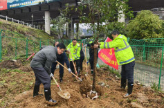 300株树苗“安家”吉首南高速互通