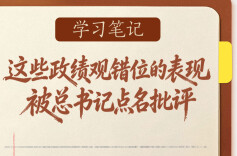 学习笔记 | 这些政绩观错位的表现，被总书记点名批评