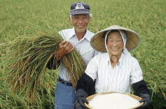 好评中国 | 深耕三湘沃土 共绘振兴蓝图