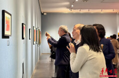 跨越8000公里的艺术对话！匈牙利双个展亮相长沙