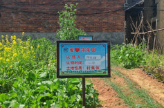 江永：城乡老人乐享“家门口养老”