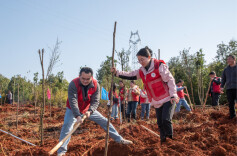 图片新闻 | 蓝山：春来植树添新绿